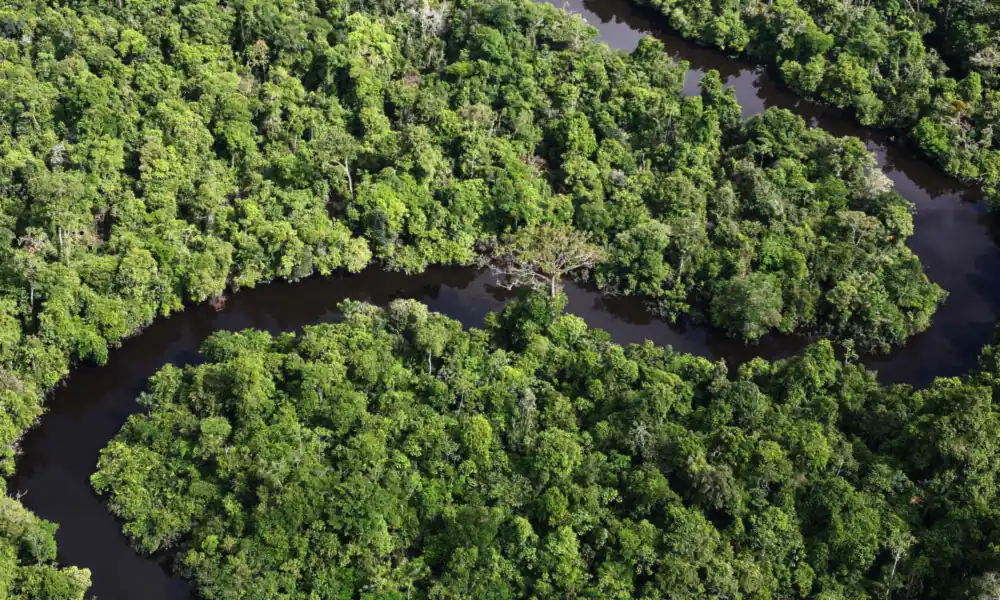 Río amazónico serpenteando entre la selva, visto desde el aire